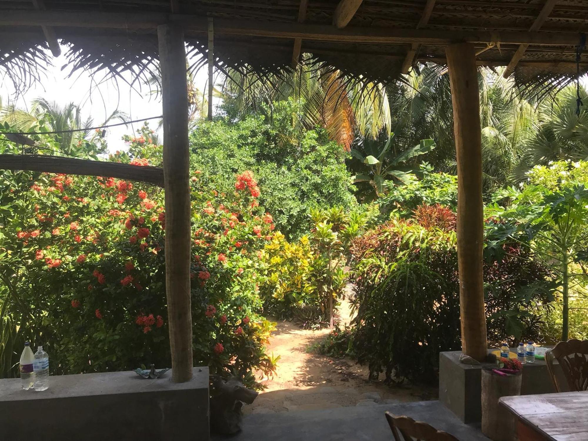 Dune Towers Kalpitiya Rom bilde